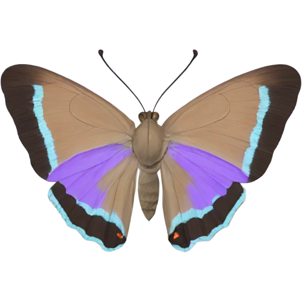 violet colorado hairstreak butterfly emoji