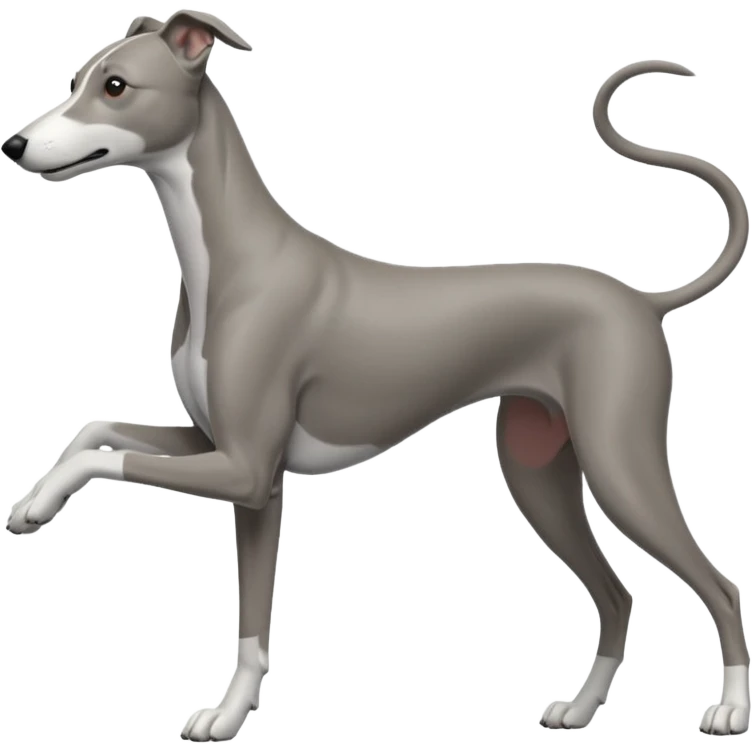 Greyhound working emoji