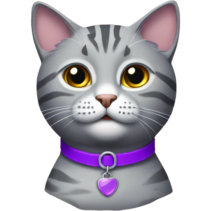 Grey tabby cat with a purple collar emoji