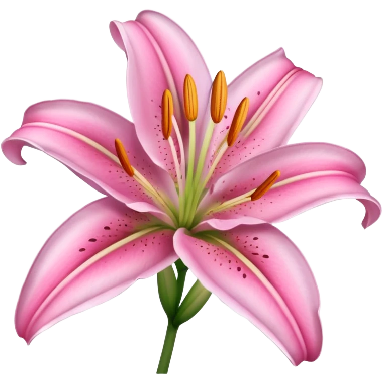 Pink lily flower emoji