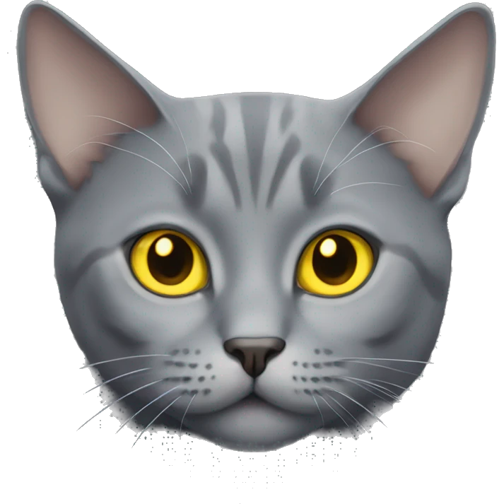 gray cat with yellow eyes british emoji