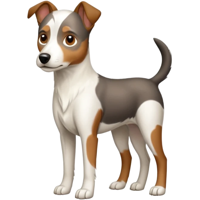 a full body large white floppy eared parson russell looking dog the size of a kelpie with light brown ears and a light brown patch on one eye and a large snout emoji
