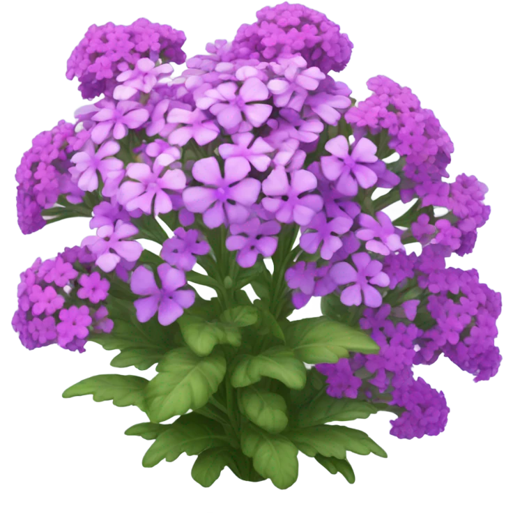 verbena plant emoji