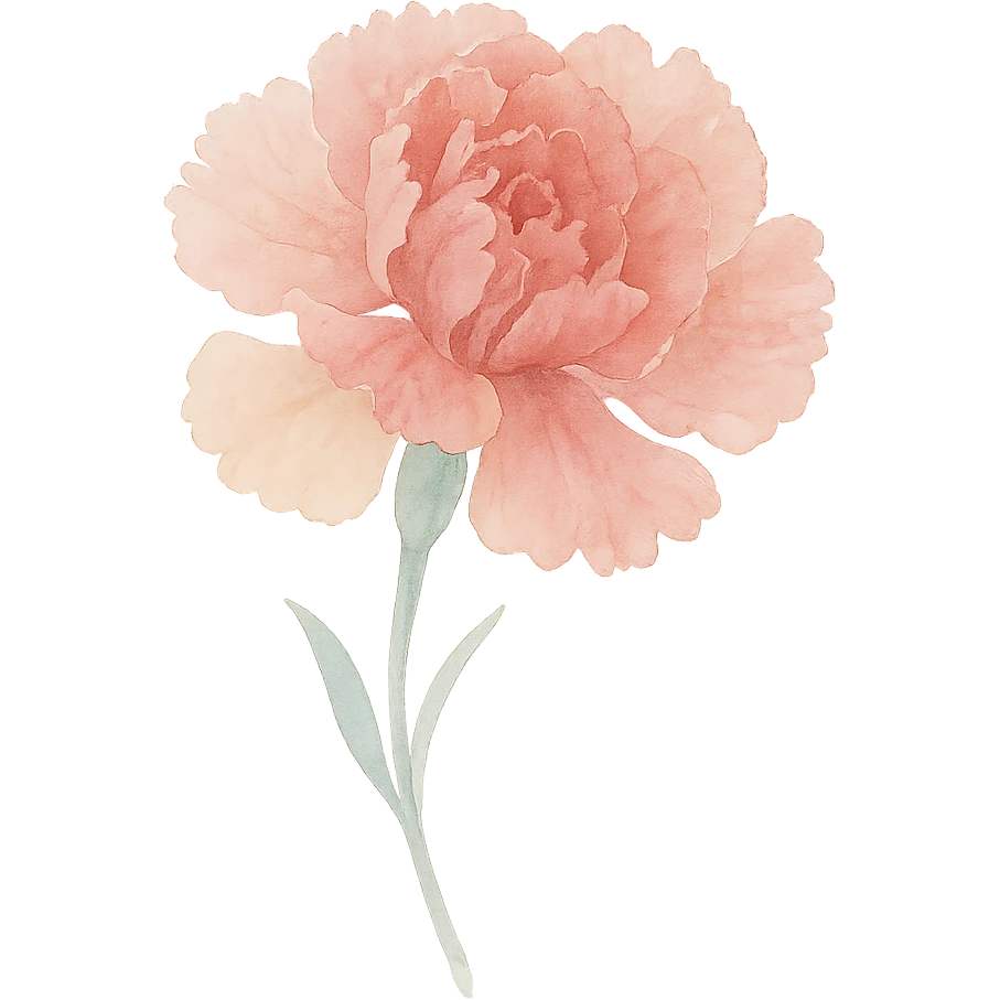 close-up of a detailed carnation, soft color transitions, intricate petal textures, expressive form emoji