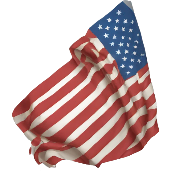 United States emoji