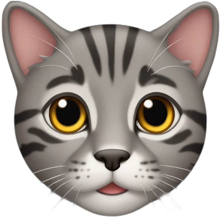 Tabby dark grey cat name pooh emoji