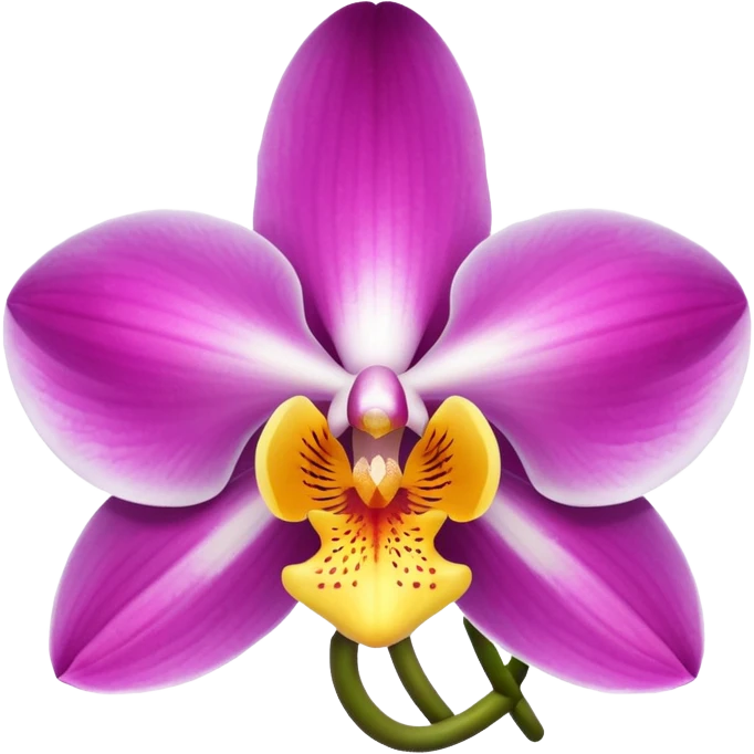 Orchid emoji