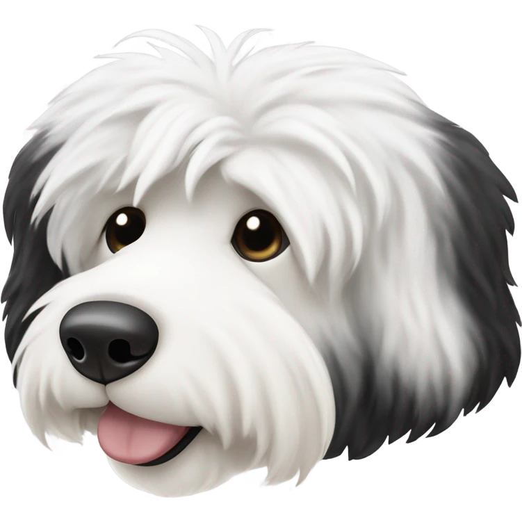 Old English sheepdog with a half and half face like a black and white cookie emoji
