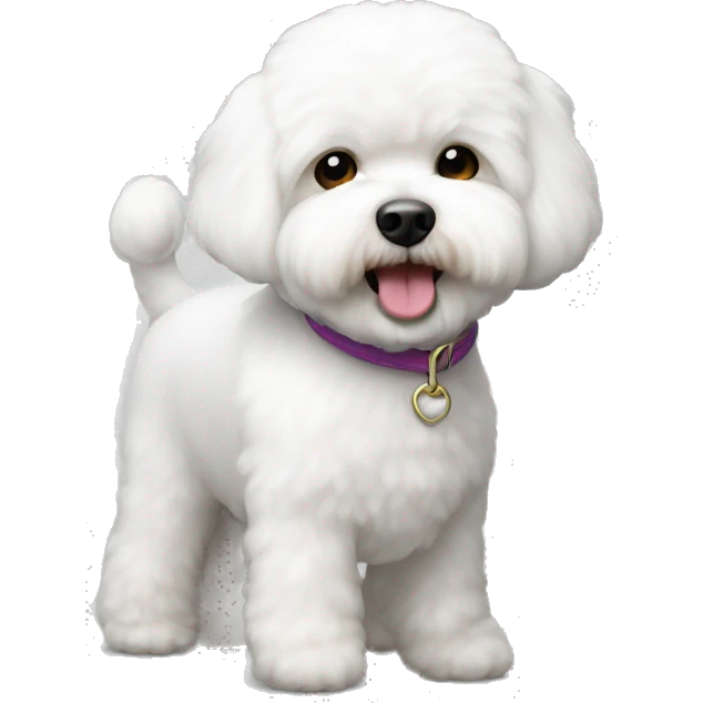 White bichon frise  emoji