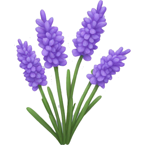 Lavender emoji