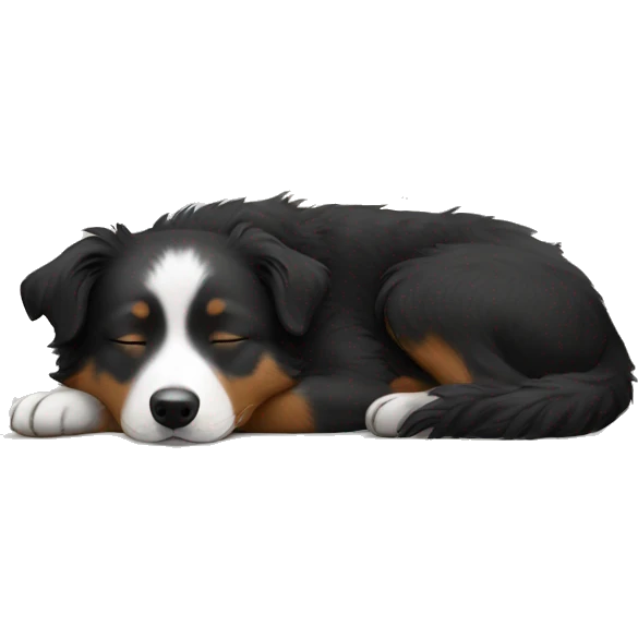 Small black australian shepherd dog sleeping  emoji