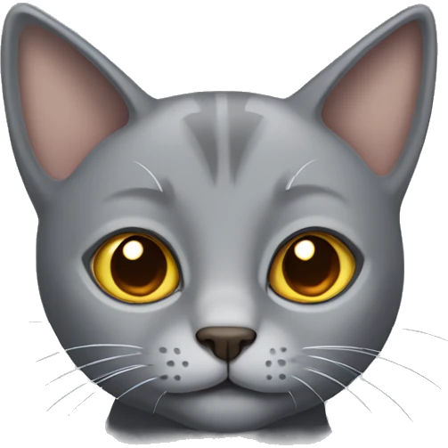 grey cat with small ears and brown eyes  emoji