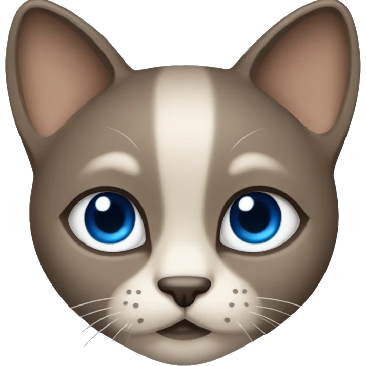 Dark Brown face - beige body and ears female siamise cat with blue eyes  emoji