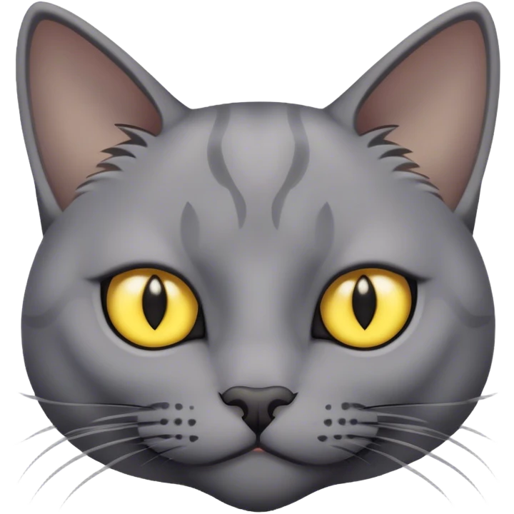 Gray cat with yellow eyes and black pupils emoji