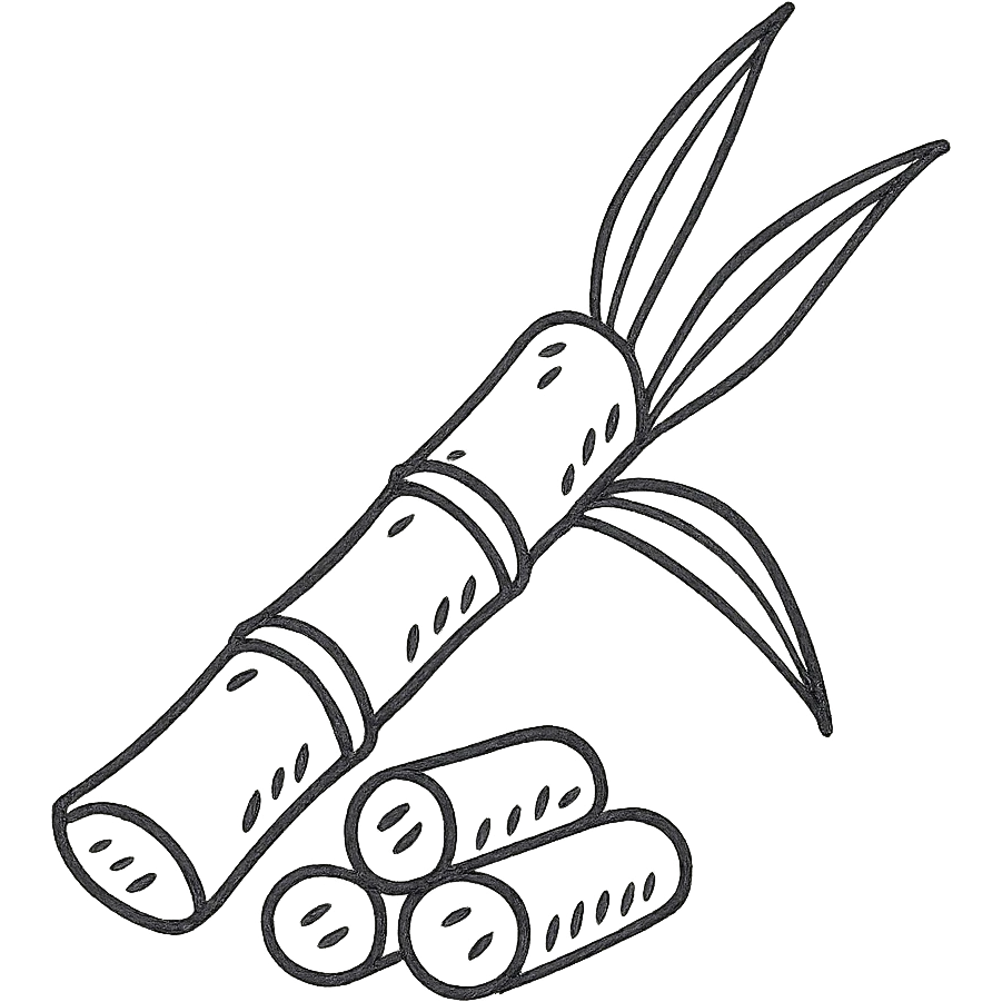 a piece of sugarcane, hand drawn, simple lines, no background emoji
