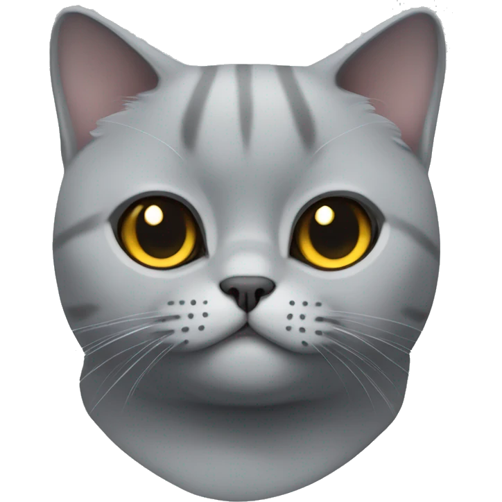 British shorthair cat face more gray emoji