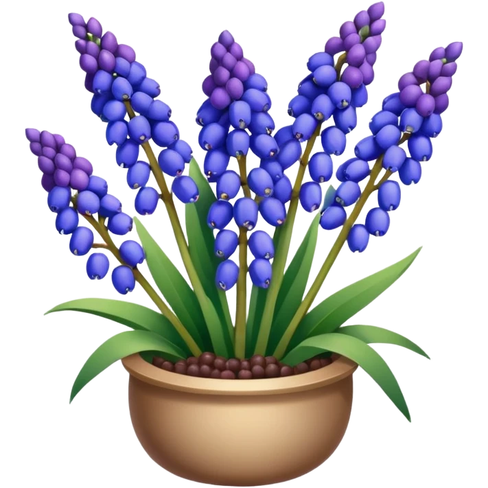 Realistic Still life detailed, Grape Hyacinth Muscari emoji