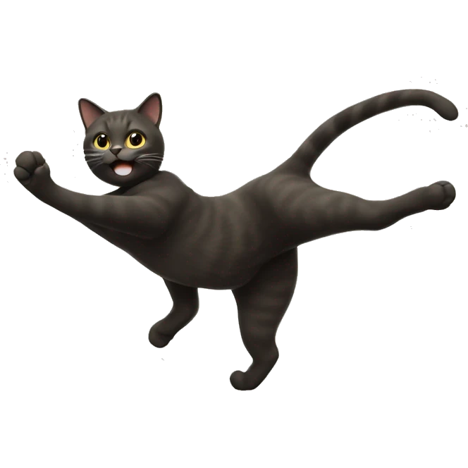 Cat doing cartwheel  emoji
