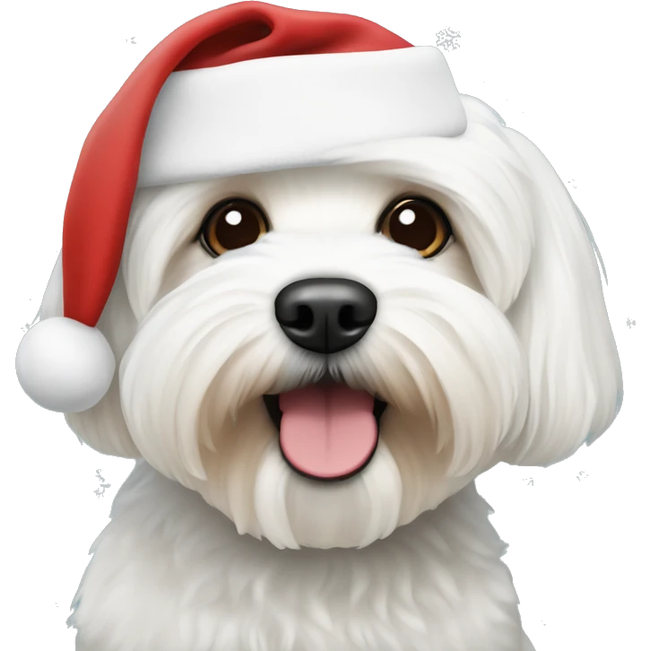 Bichon havanese with christmas hat emoji