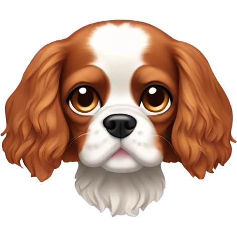 Cavalier King Charles spaniel emoji
