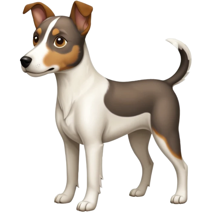 a full body large white floppy eared parson russell looking dog the size of a kelpie with light brown ears and a light brown patch on one eye and a large snout emoji