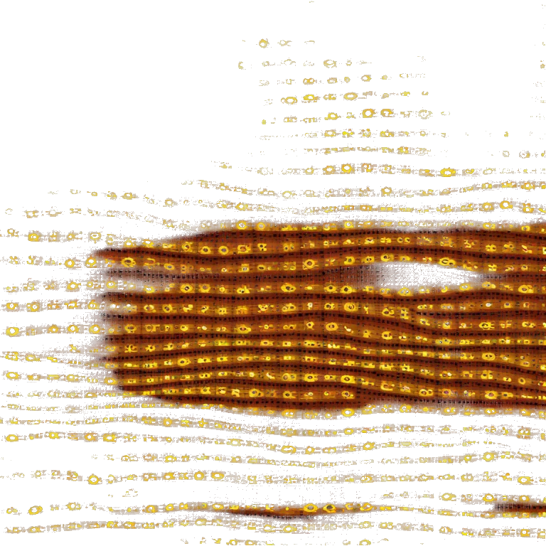 Aboriginal Flag emoji