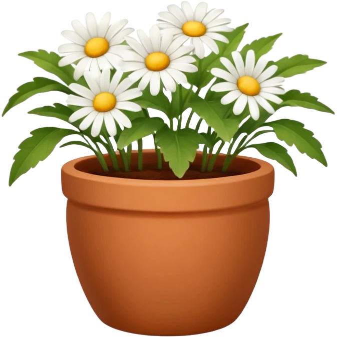 Small pot with blooming daisies emoji