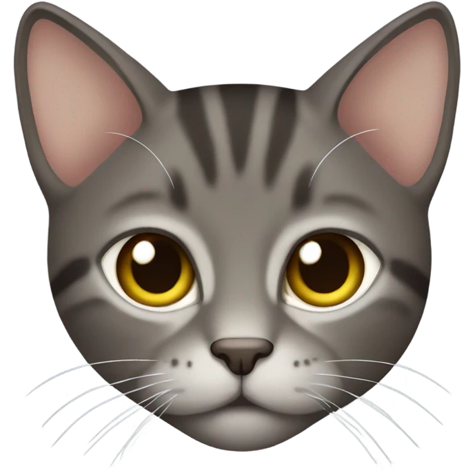 Dark brown/grey tabby cat emoji