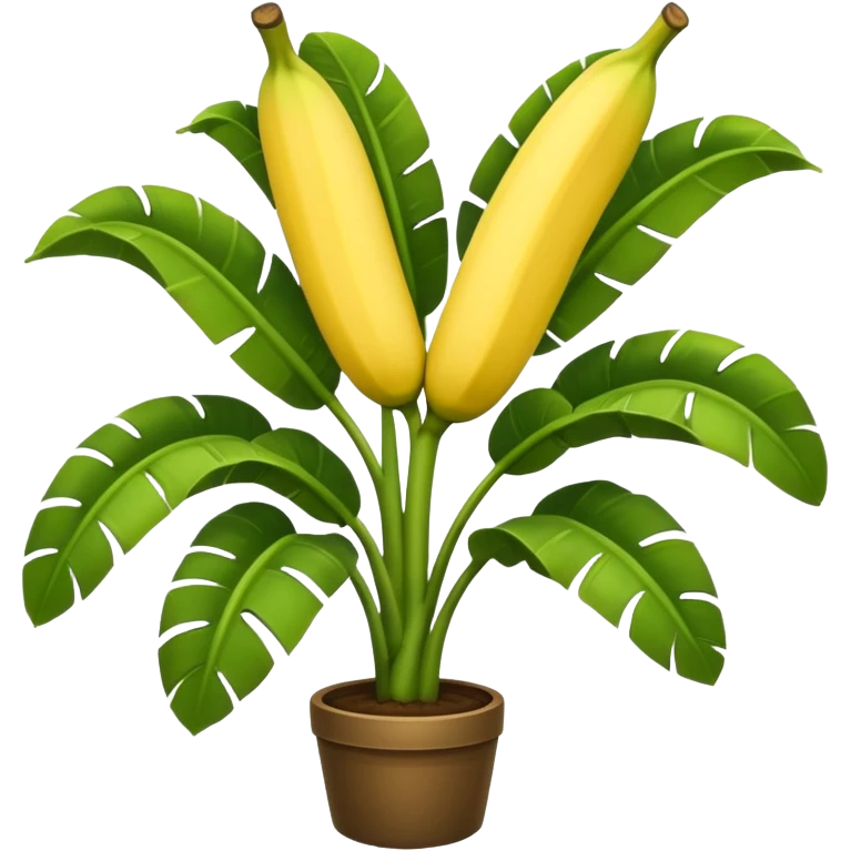 Banana plant tree emoji