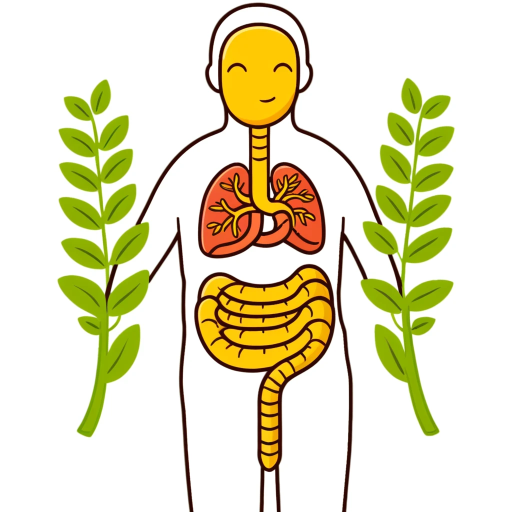 Cute simplified human digestive system diagram with stomach and intestines, surrounded by golden wheat stalks and green leaves. Bright healing particles moving through the digestive tract, showing food digestion and cleansing process emoji