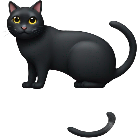 a really fat black cat with a chopped left ear  emoji