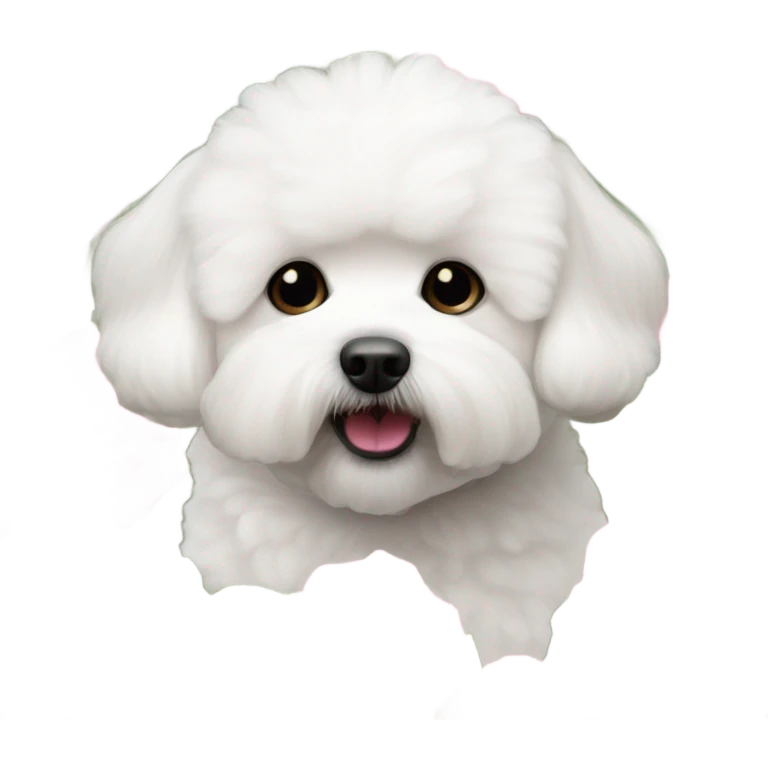 White bichon frise with pink roses  emoji