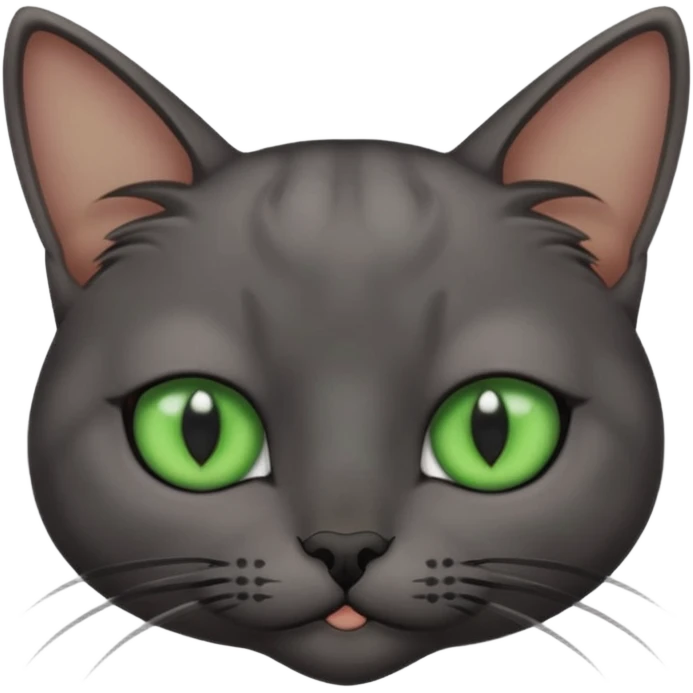 Skinny dark grey cat green eyes is closing one eye emoji