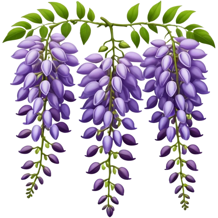 Wisteria raceme with mixed blooming stages - some flowers fully open in purple, others still in bud stage, hanging gracefully with green leaves emoji