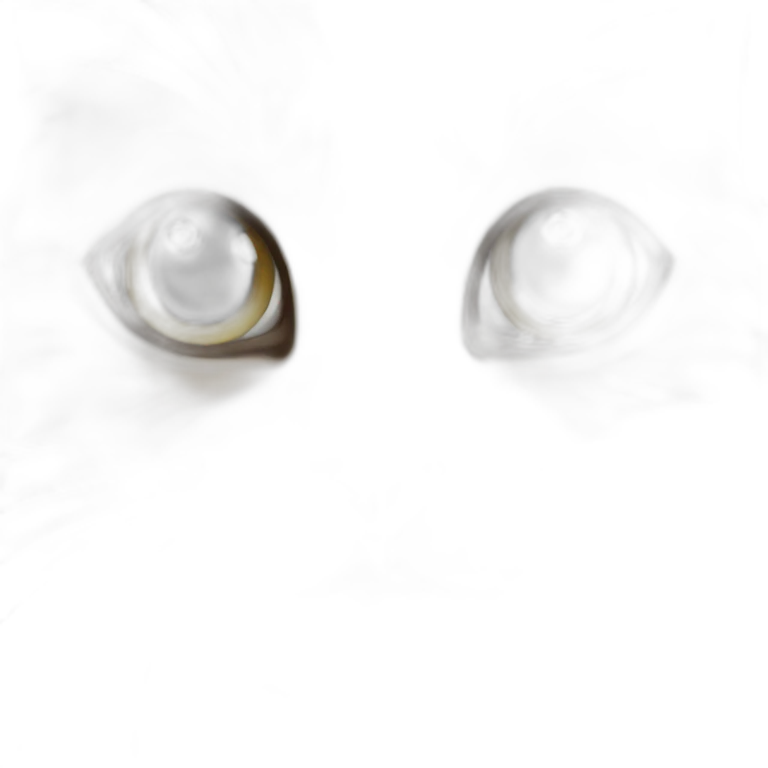 Kat emoji