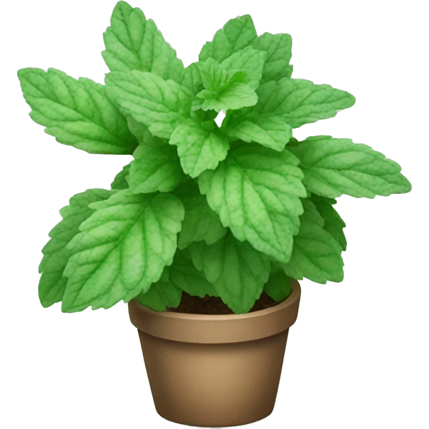 variegated mint plant emoji