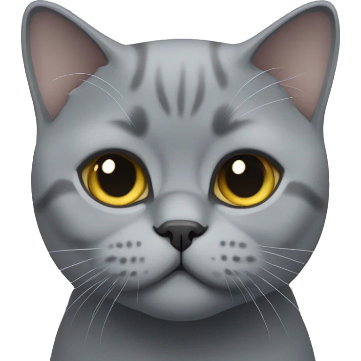 Grey british shorthair emoji