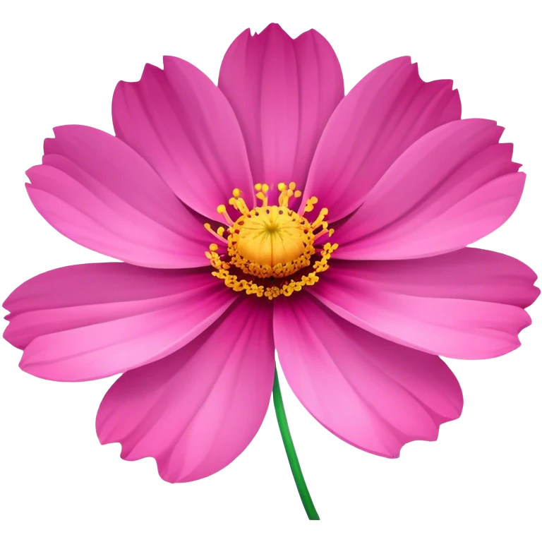 Cosmos flower  emoji