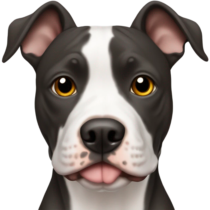 American pitbull terrier black and white brown eyes emoji