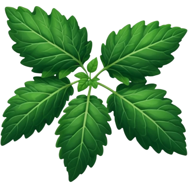 bunch of patchouli leaves emoji