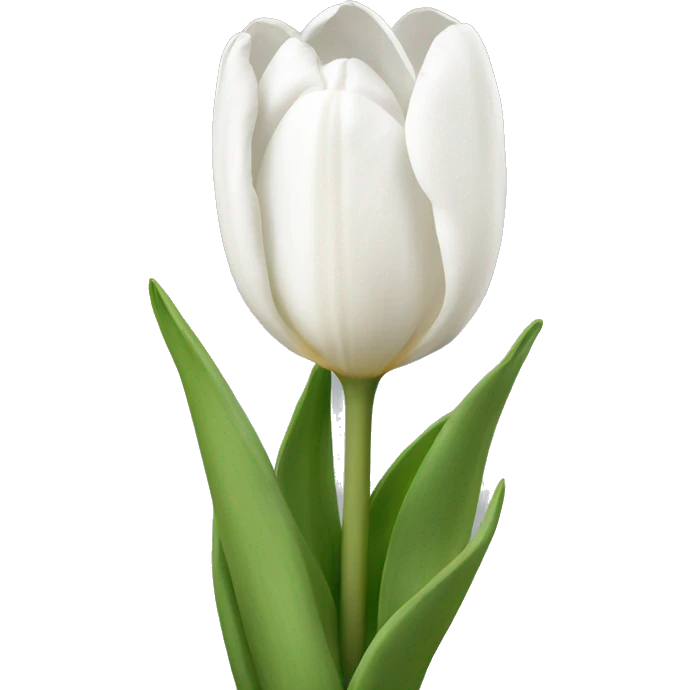 white tulips  emoji