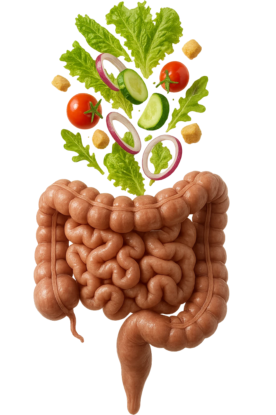 INSALATA CADE VERTICALMENTE SU UN INTESTINO ANATOMICO REALISTICO, iperrealistico 4k, ISOLATA SU SFONDO BIANCO emoji