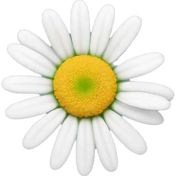 White daisy  emoji