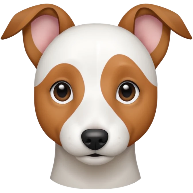 a fully white jack russell the size of a kelpie with floppy ears and a half white face emoji