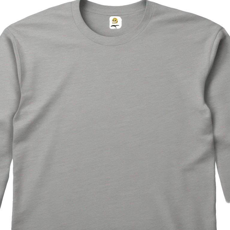 A plain long-sleeve T-shirt in melange gray color. emoji