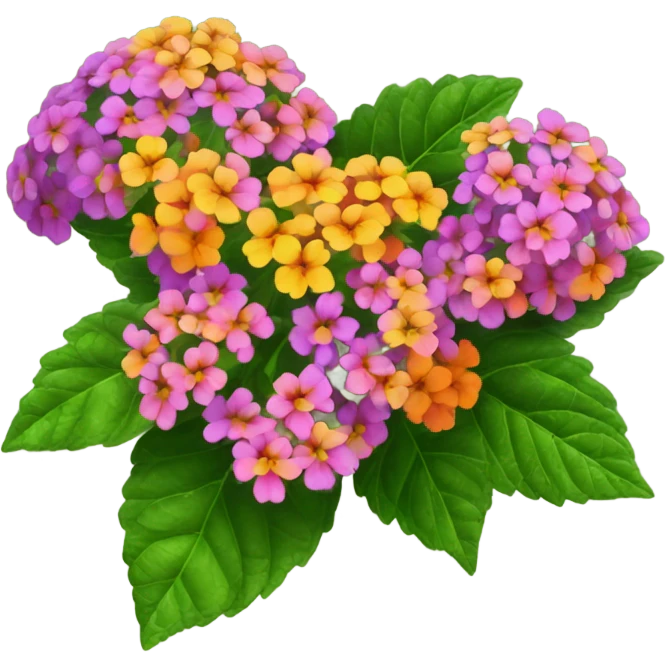Lantana flower plant  emoji