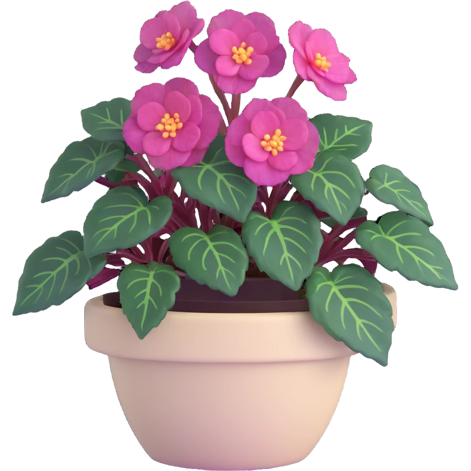 Begonia Rex with dark green leaves, purple edges, white spots in the middle, and distinct spiral centers where each leaf grows from, in a beige pot emoji