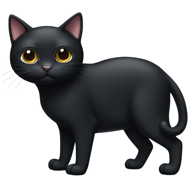 Black cat with white belly and white feet emoji