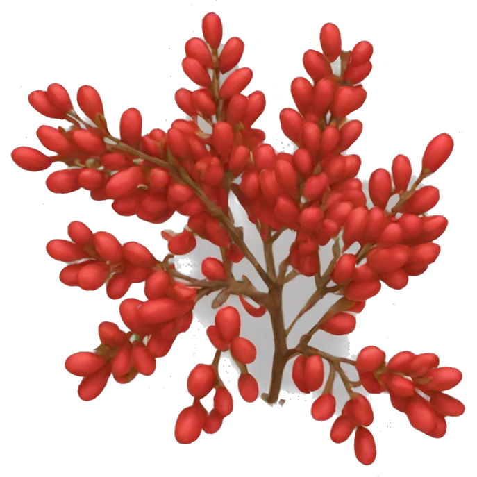 red barberry  emoji