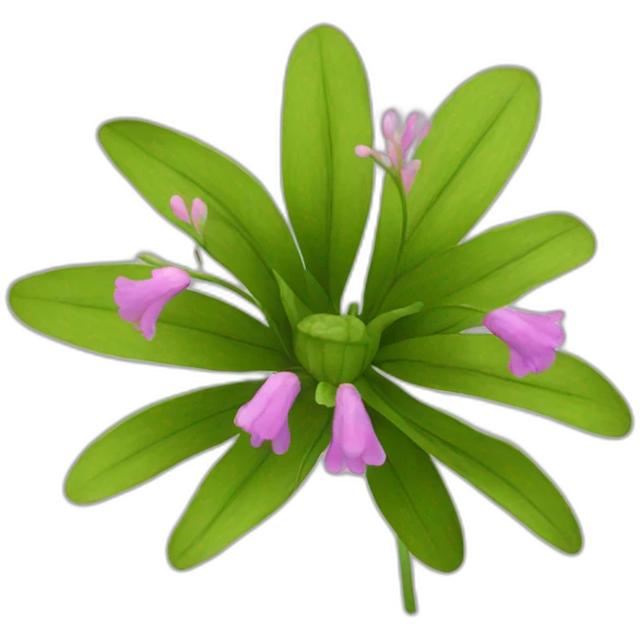 lavndula flower plant emoji